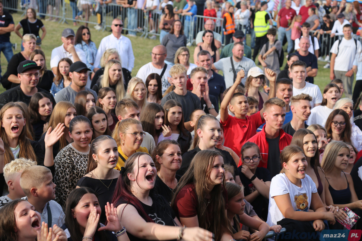 Zdjęcie w albumie