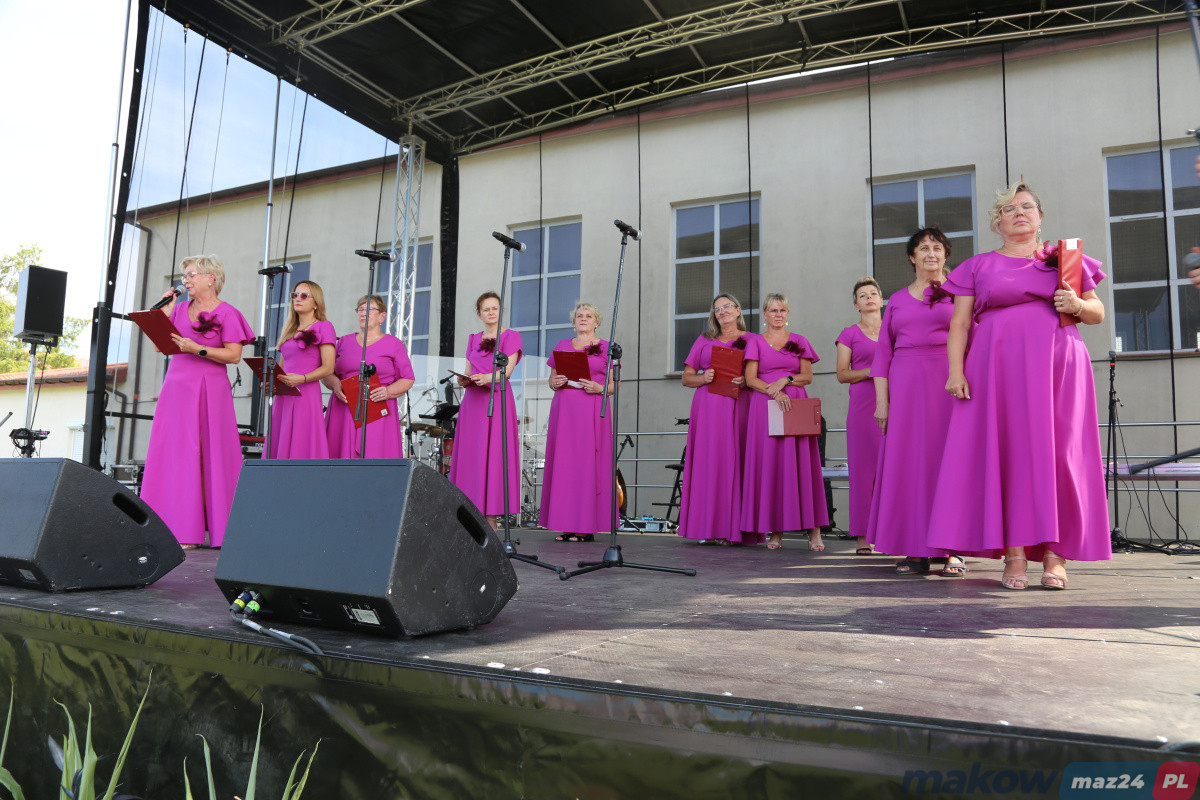 Zdjęcie w albumie