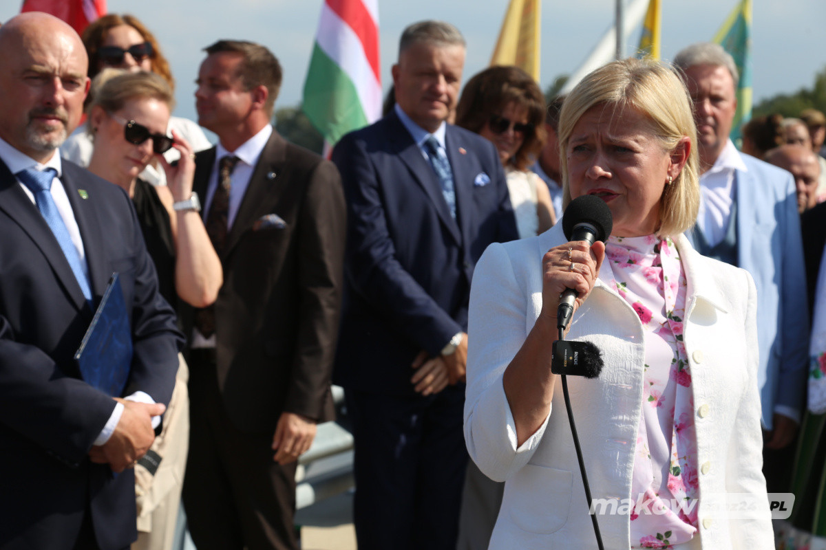 Zdjęcie w albumie