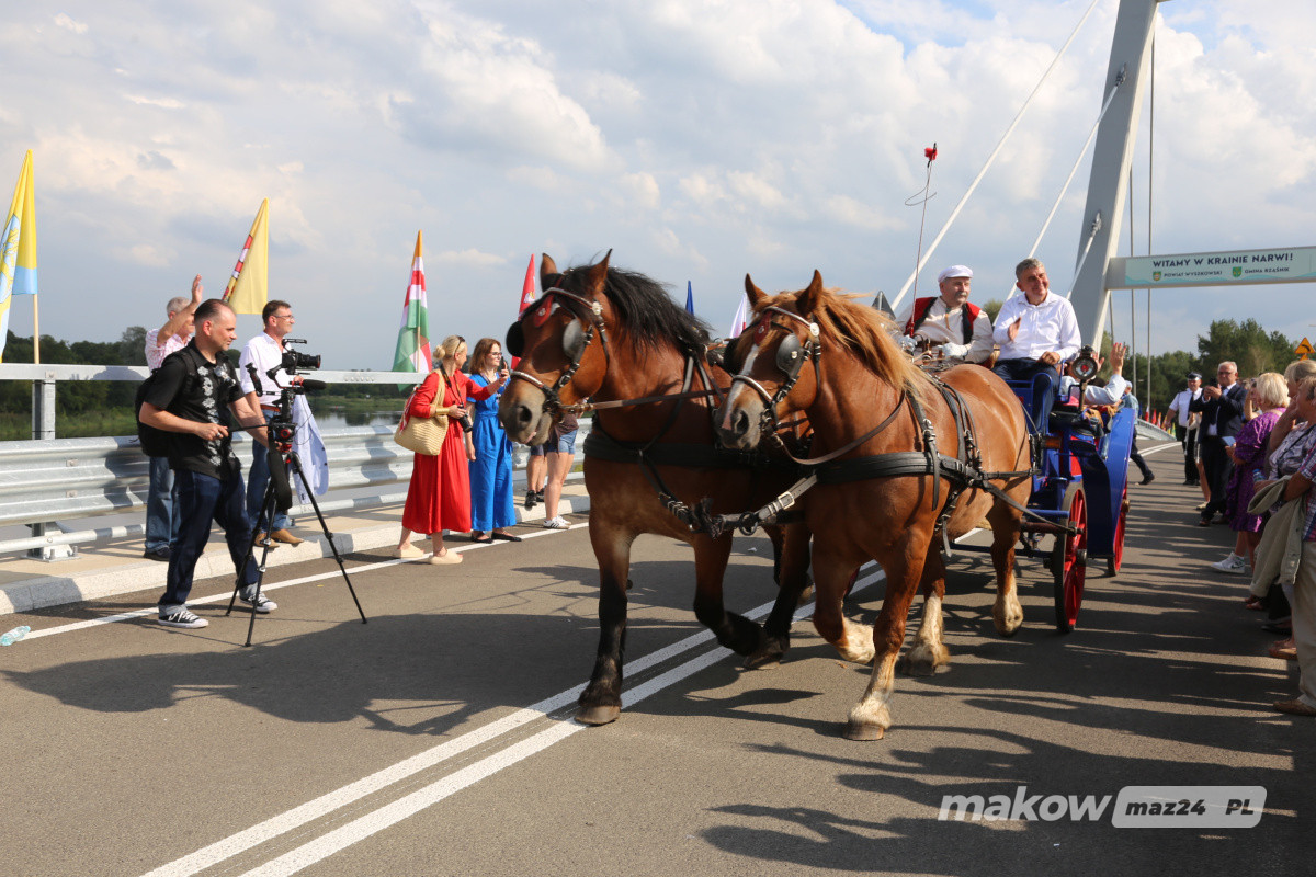 Zdjęcie w albumie