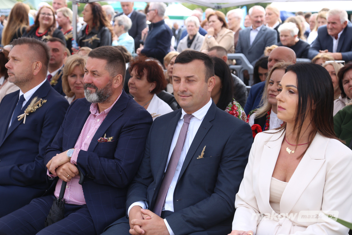 Zdjęcie w albumie