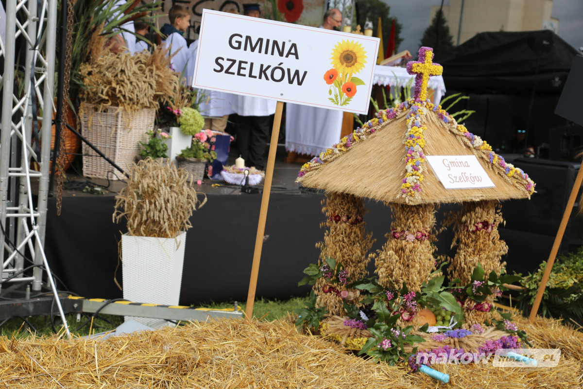 Zdjęcie w albumie