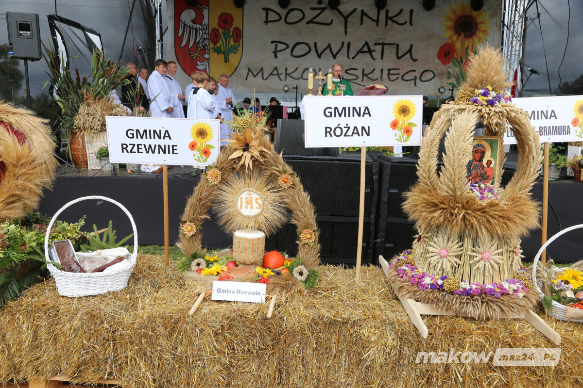 Zdjęcie w albumie