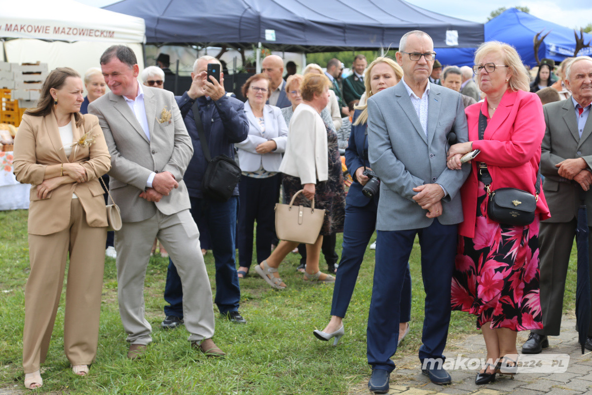 Zdjęcie w albumie