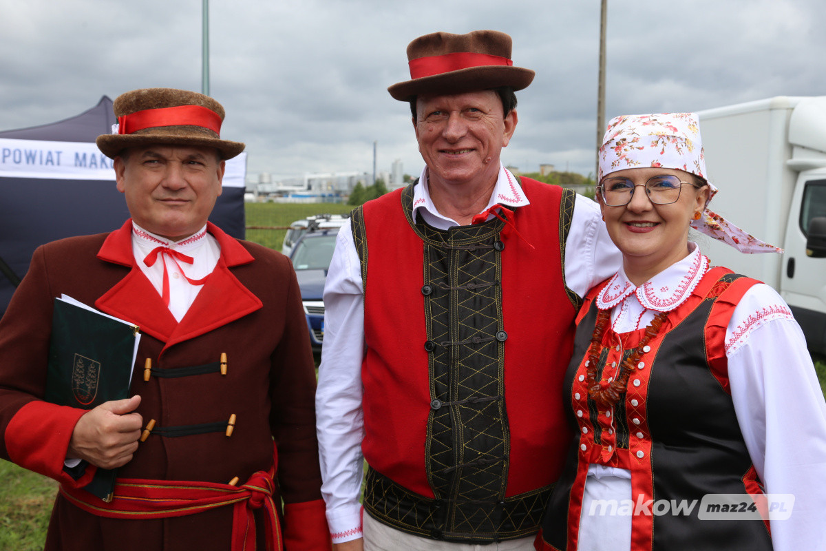 Zdjęcie w albumie