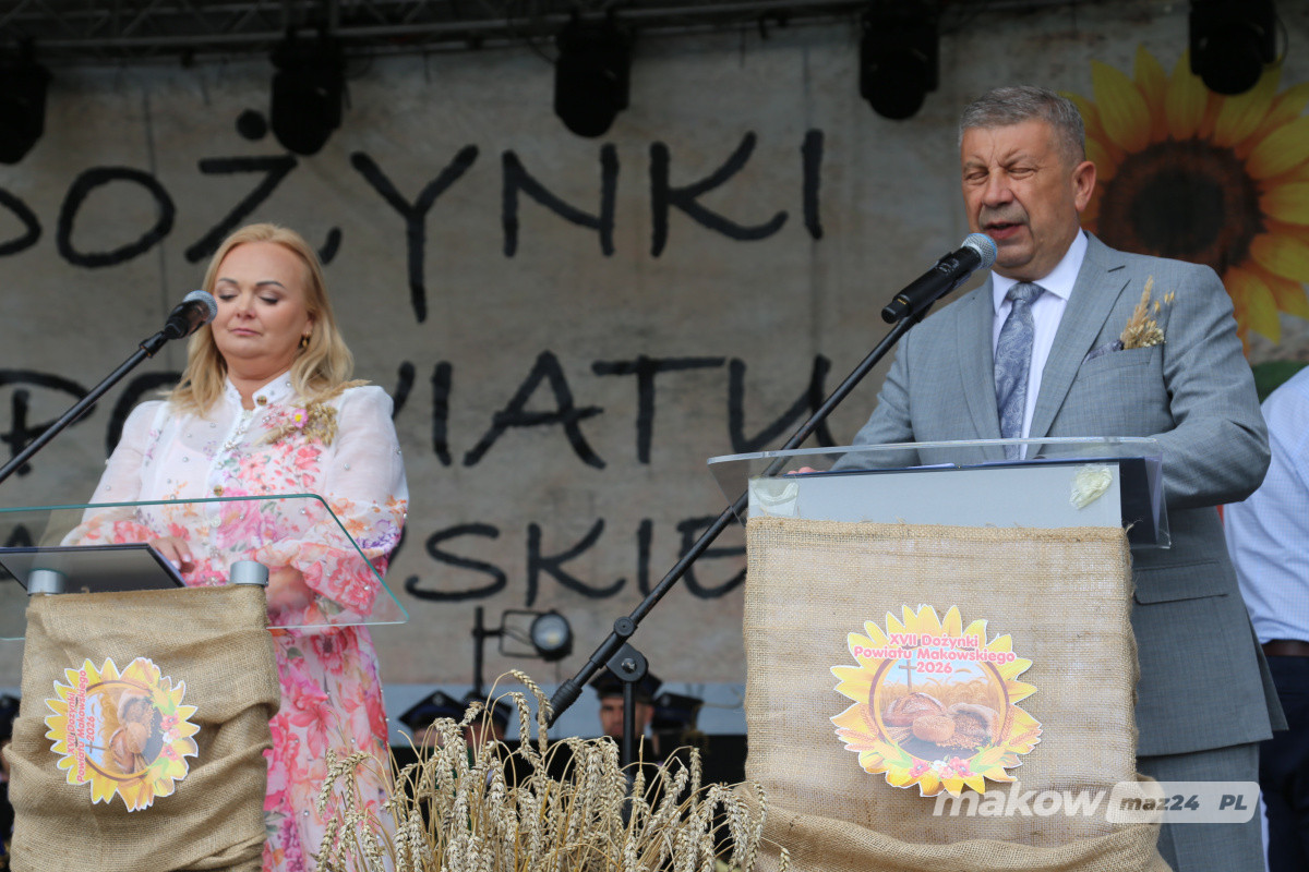 Zdjęcie w albumie