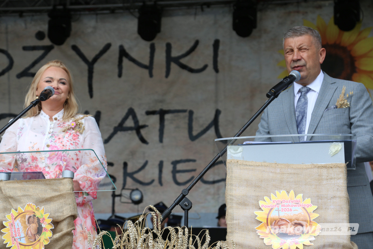 Zdjęcie w albumie