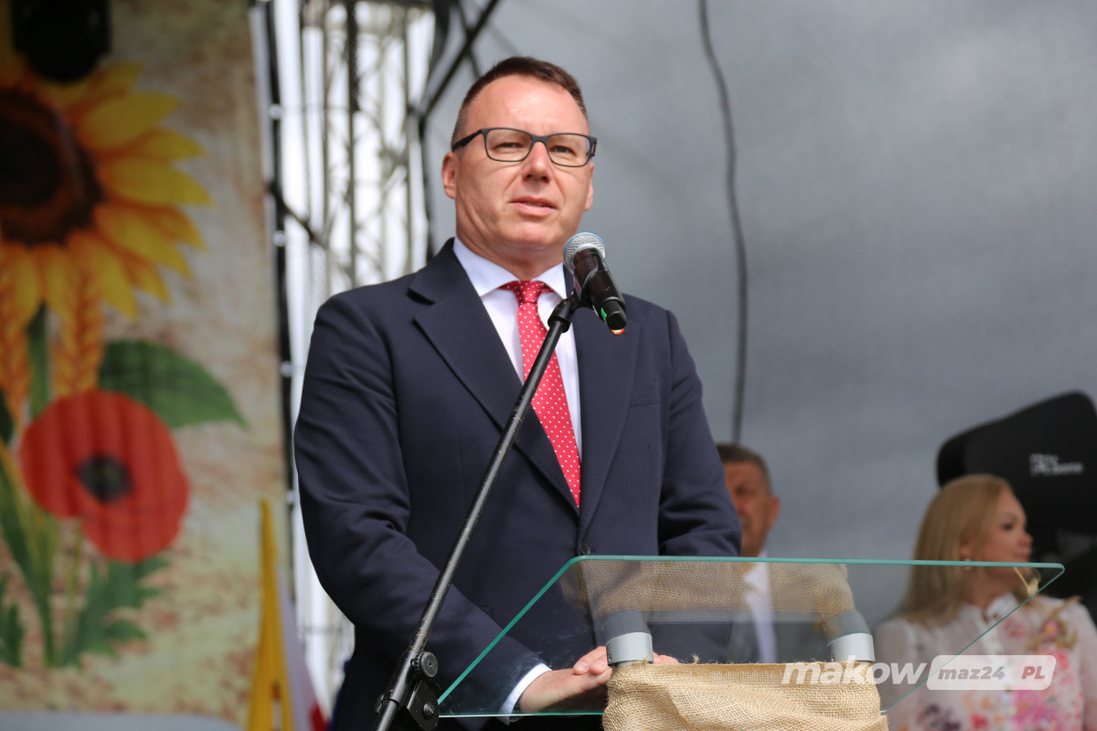Zdjęcie w albumie