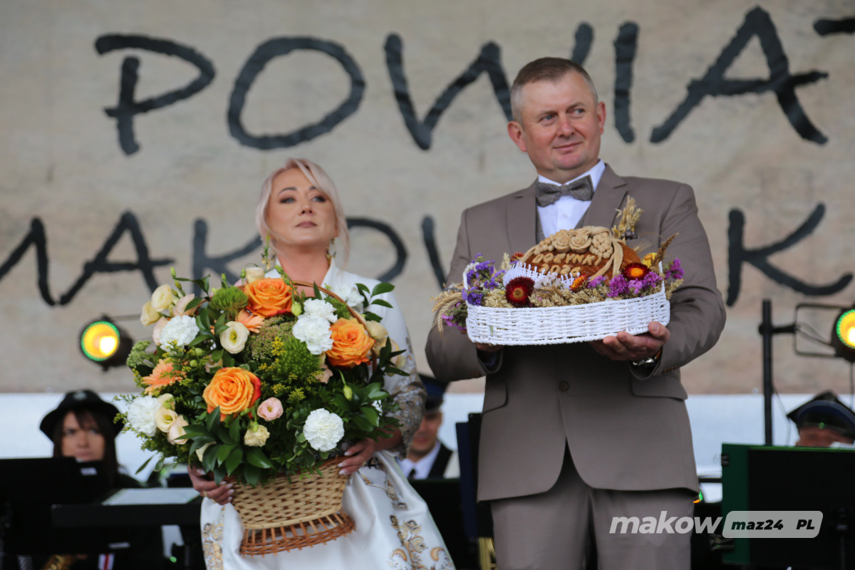 Zdjęcie w albumie