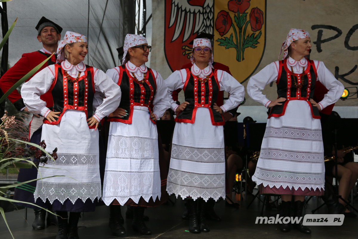 Zdjęcie w albumie