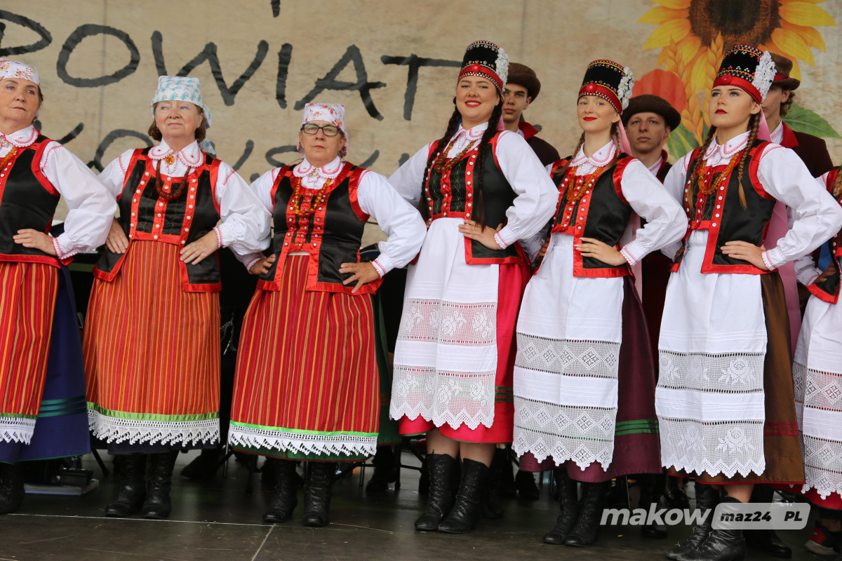 Zdjęcie w albumie