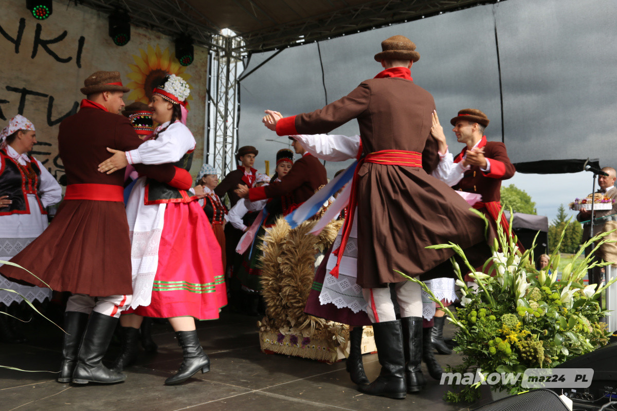 Zdjęcie w albumie