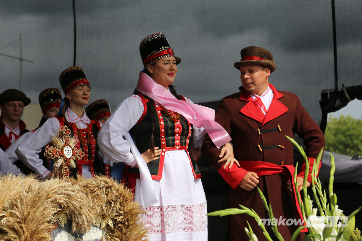 Zdjęcie w albumie