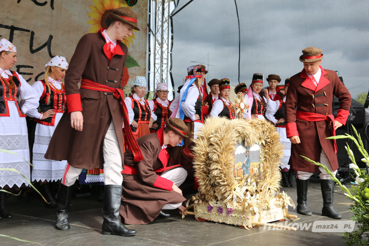 Zdjęcie w albumie