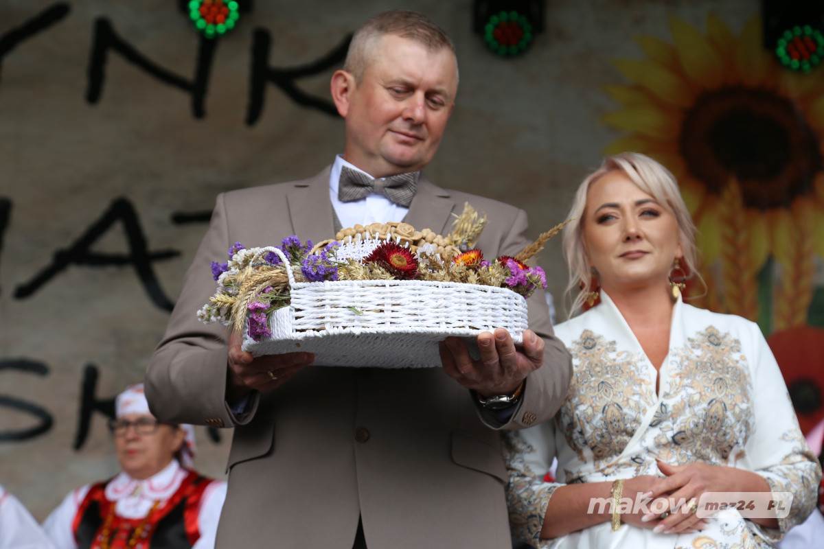 Zdjęcie w albumie