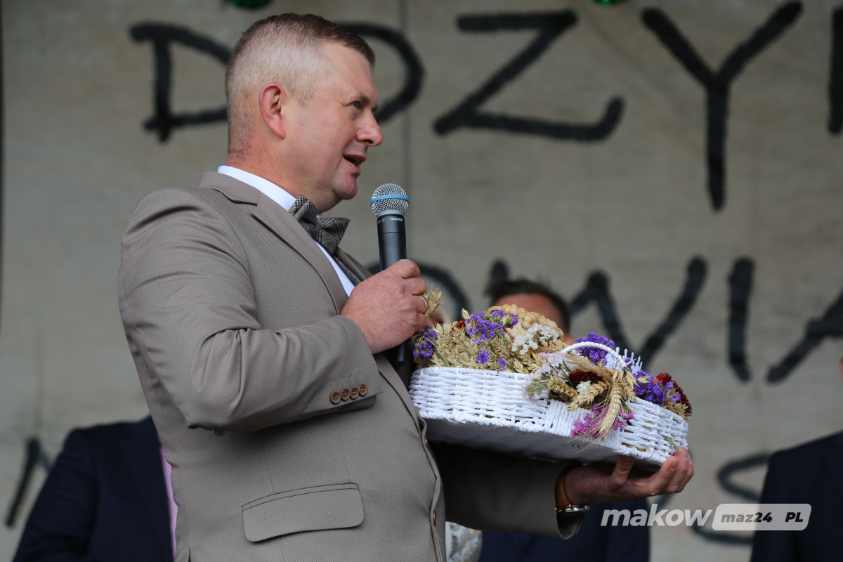 Zdjęcie w albumie
