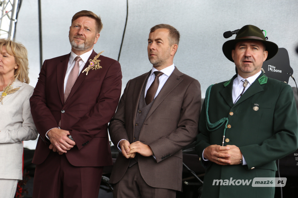 Zdjęcie w albumie