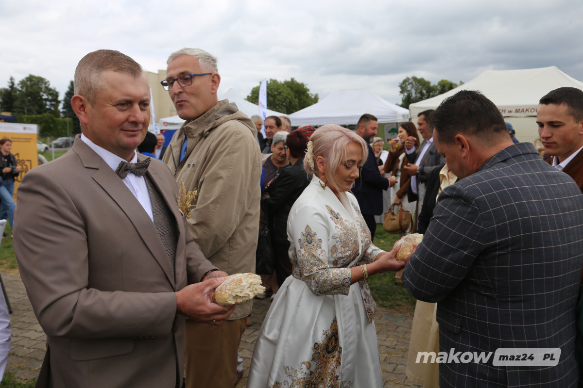 Zdjęcie w albumie