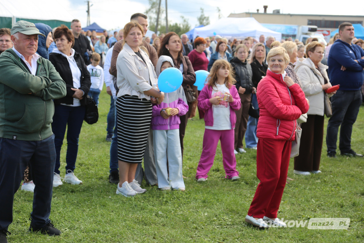 Zdjęcie w albumie