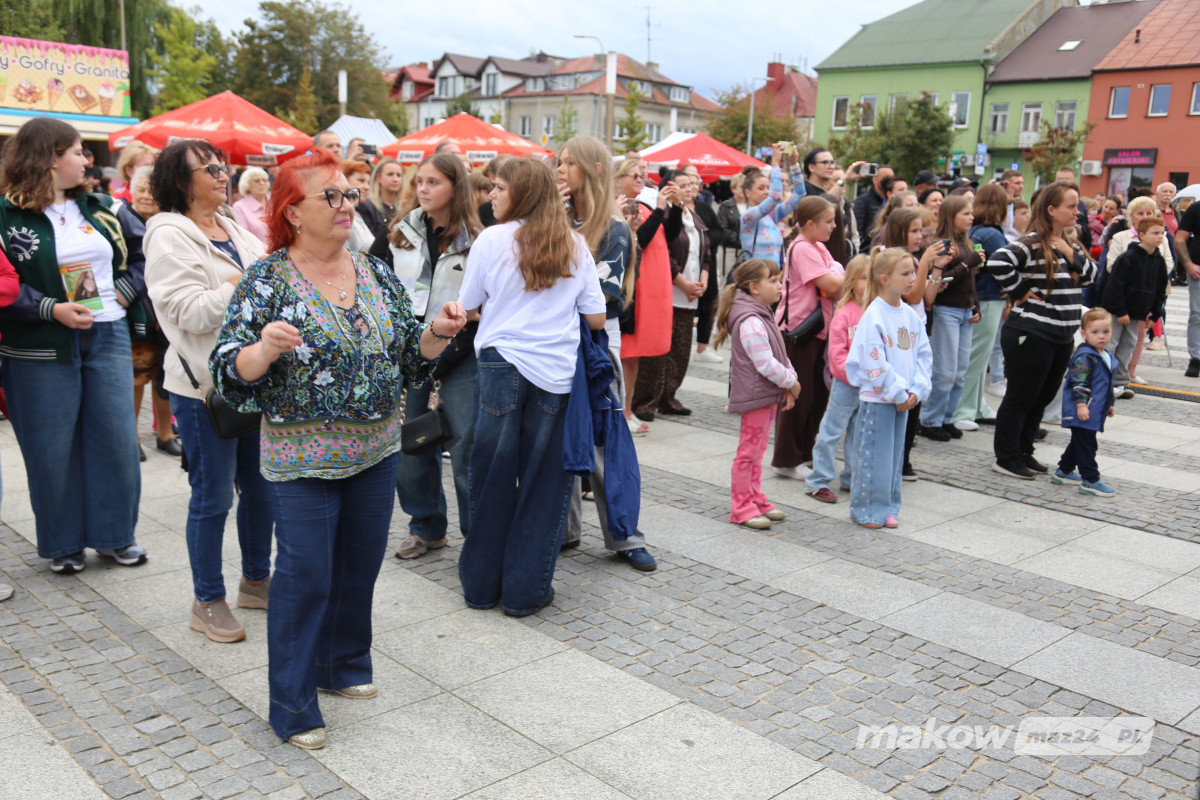 Zdjęcie w albumie