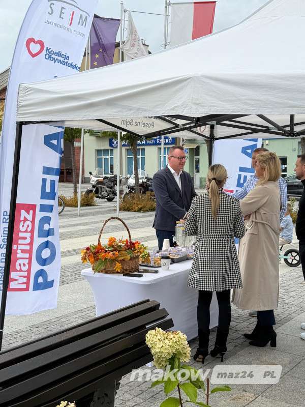 Zdjęcie w albumie