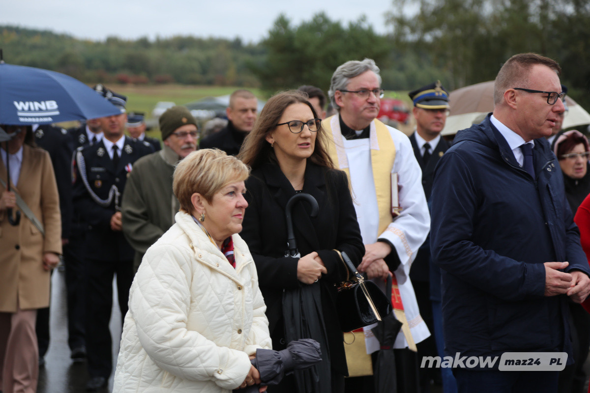 Zdjęcie w albumie