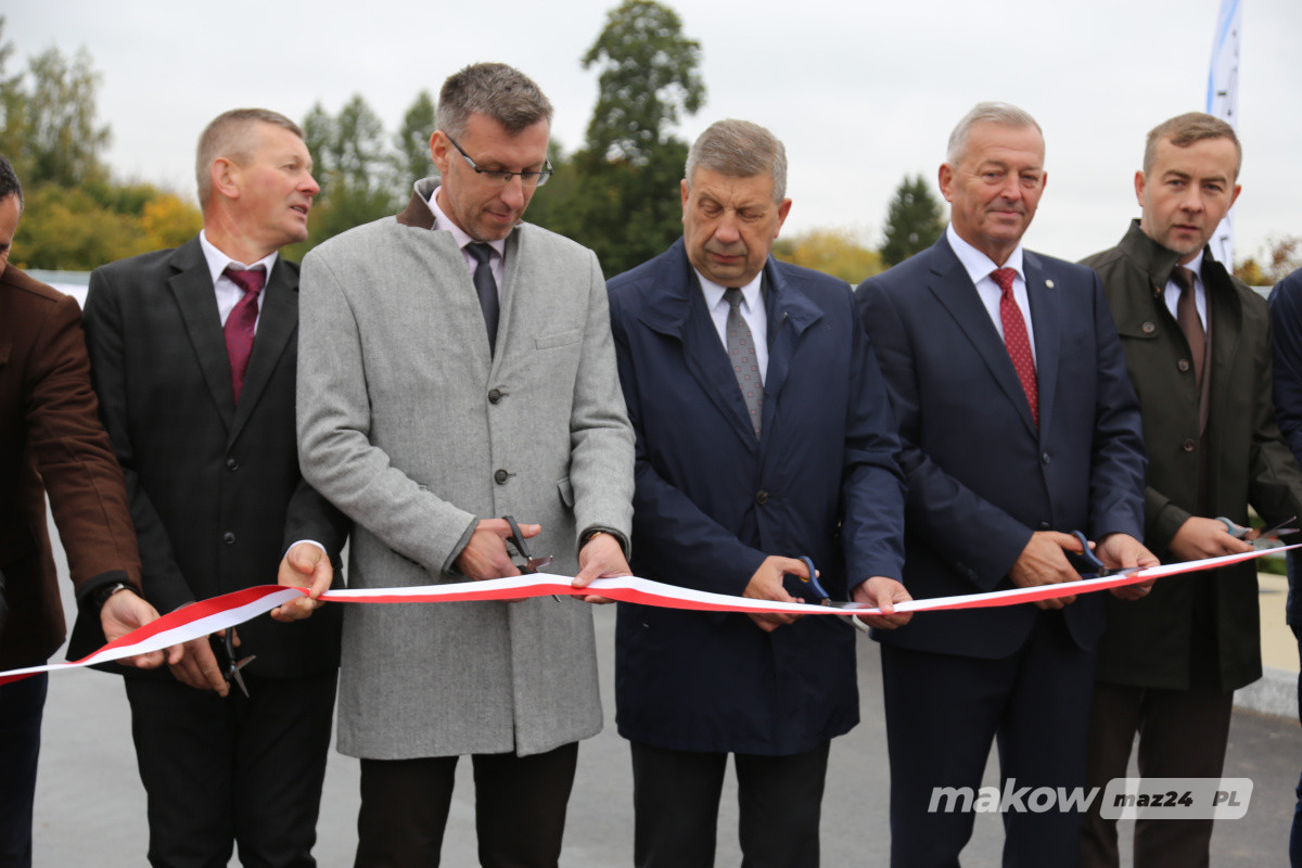 Zdjęcie w albumie