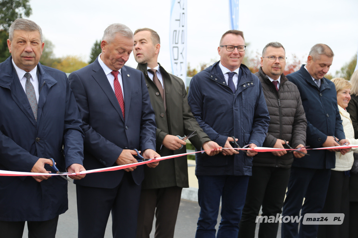 Zdjęcie w albumie