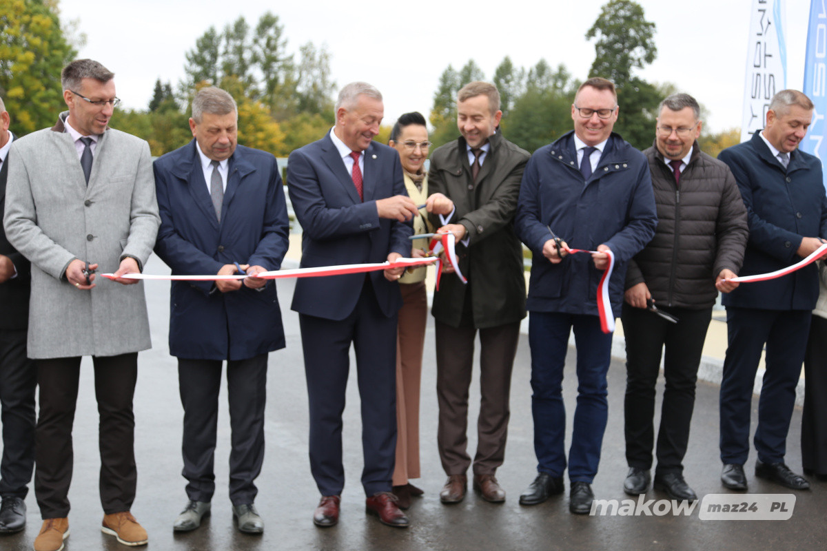 Zdjęcie w albumie