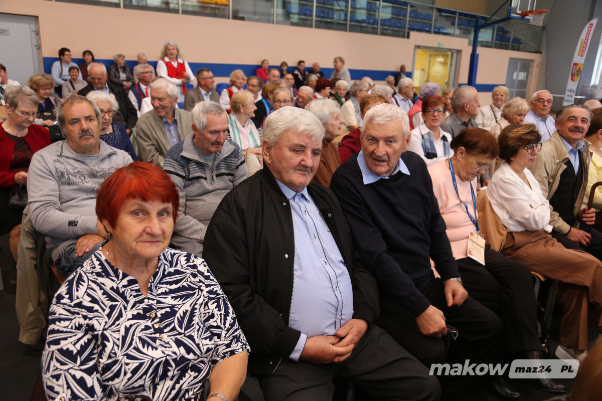 Zdjęcie w albumie