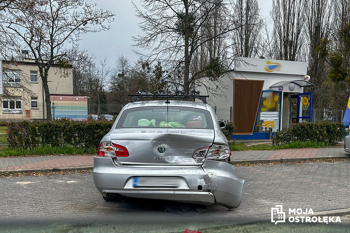 Zdjęcie w albumie