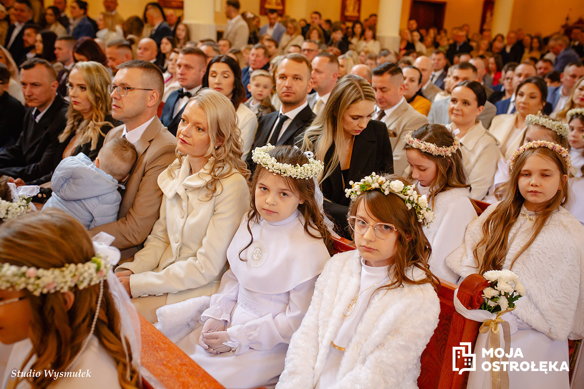 Zdjęcie w albumie