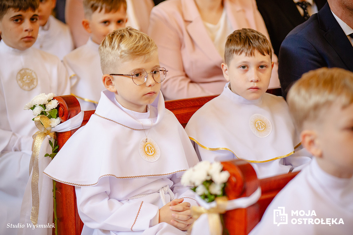 Zdjęcie w albumie