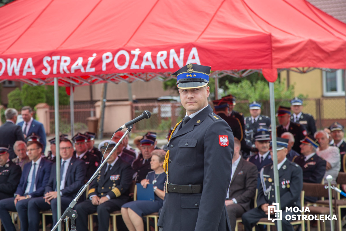 Zdjęcie w albumie