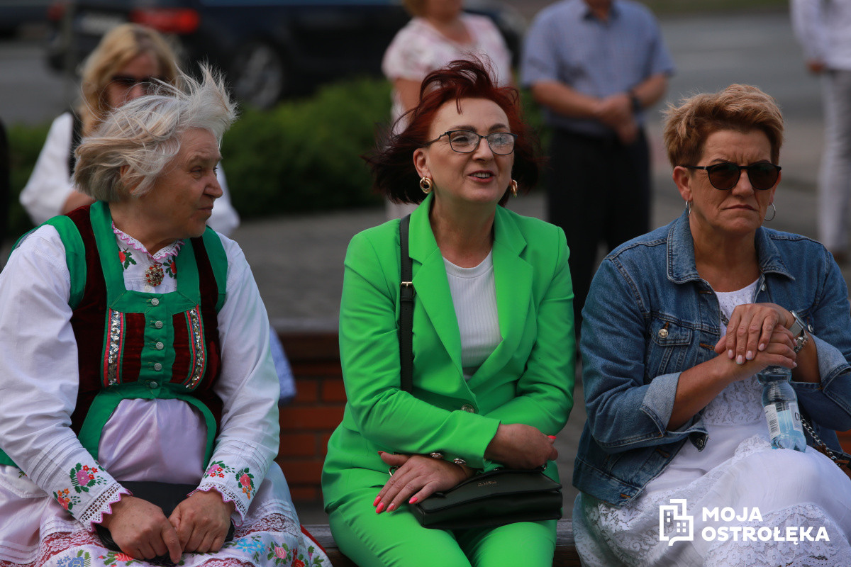 Zdjęcie w albumie