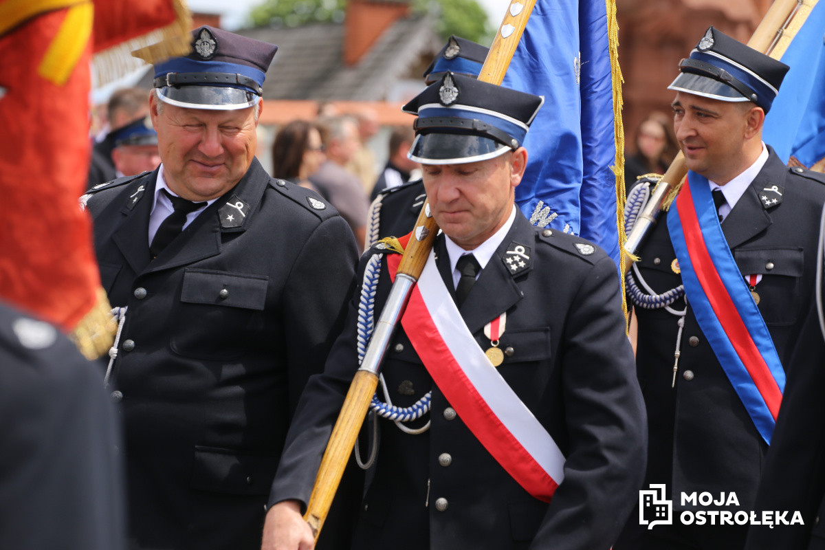 Zdjęcie w albumie