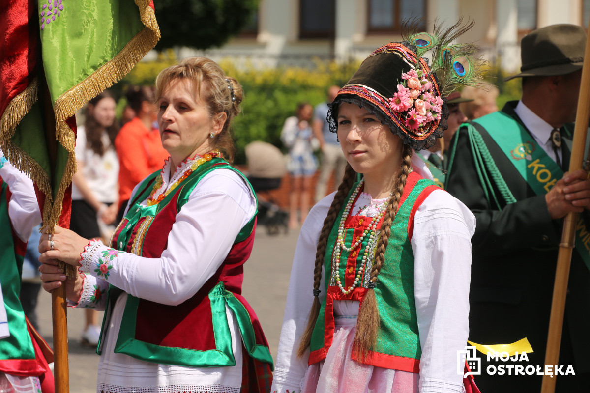 Zdjęcie w albumie
