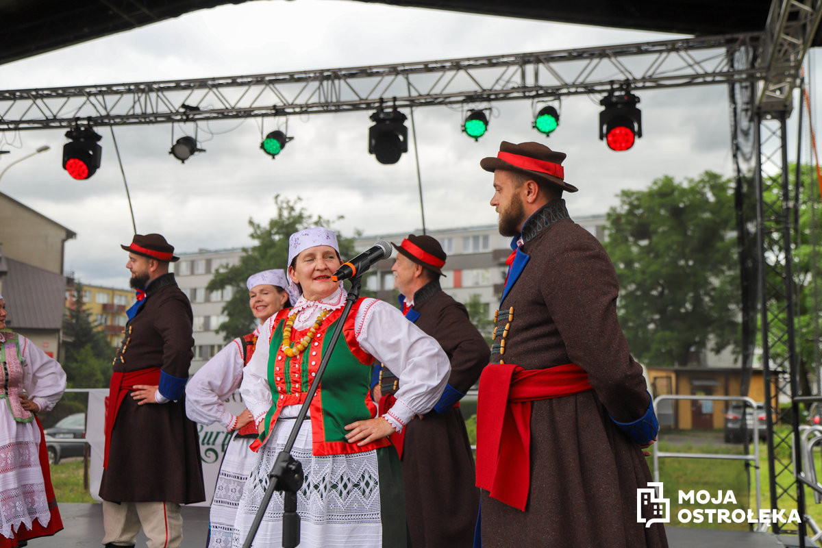 Zdjęcie w albumie